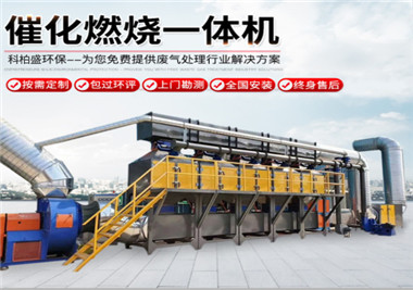 RCO蓄热式/催化燃烧设备