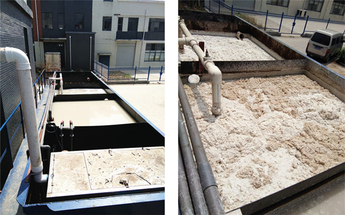 99久久久无码国产精品性