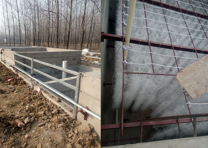 99久久久无码国产精品性