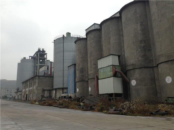 99久久久无码国产精品性