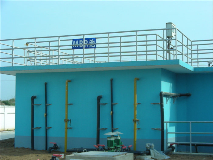 99久久久无码国产精品性