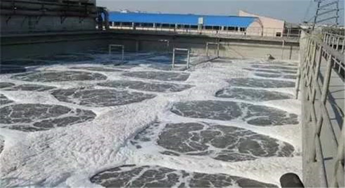 99久久久无码国产精品性