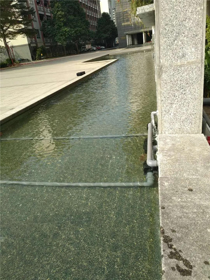 99久久久无码国产精品性