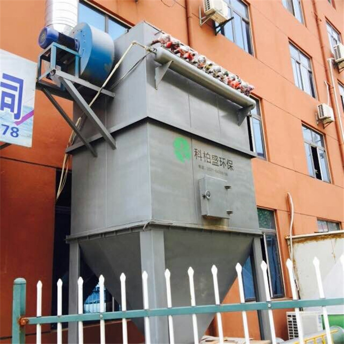 99久久久无码国产精品性