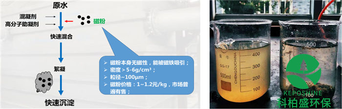 99久久久无码国产精品性