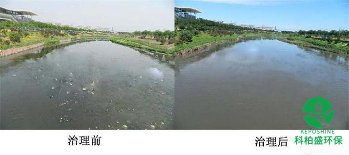 99久久久无码国产精品性