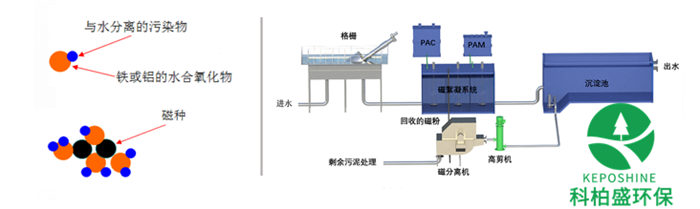 99久久久无码国产精品性