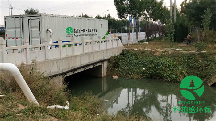 99久久久无码国产精品性