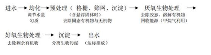 99久久久无码国产精品性