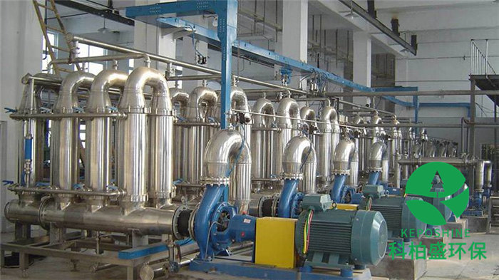 99久久久无码国产精品性