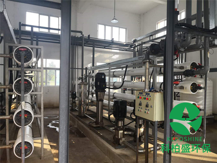 99久久久无码国产精品性