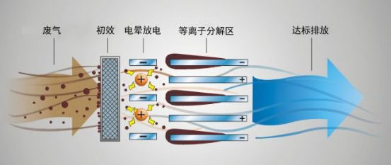 99久久久无码国产精品性