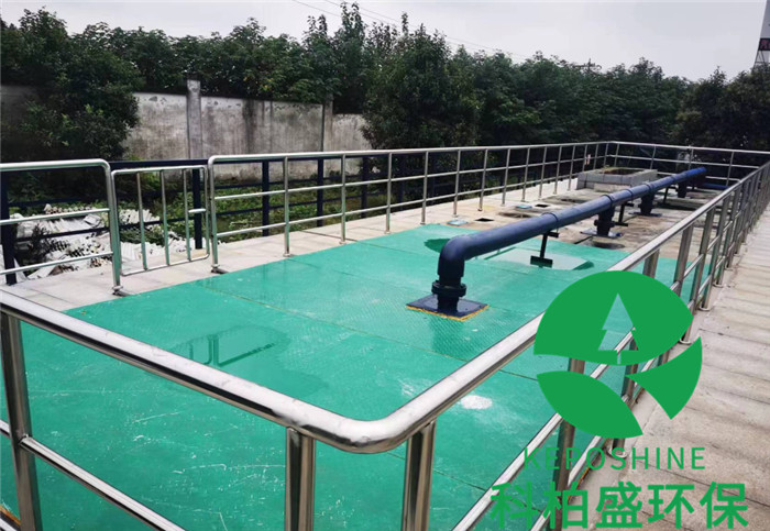 99久久久无码国产精品性