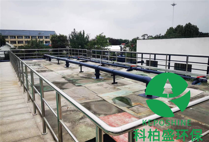 99久久久无码国产精品性