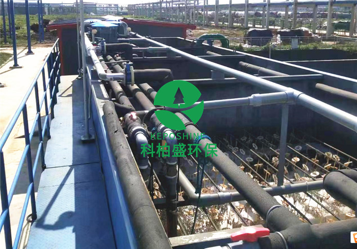 99久久久无码国产精品性