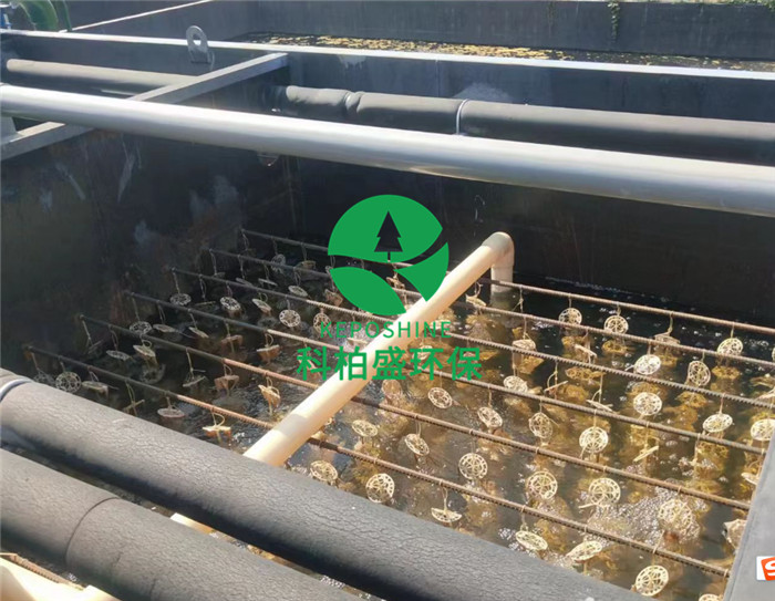 99久久久无码国产精品性