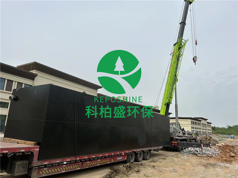 99久久久无码国产精品性