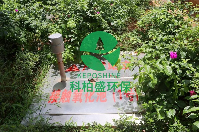 99久久久无码国产精品性