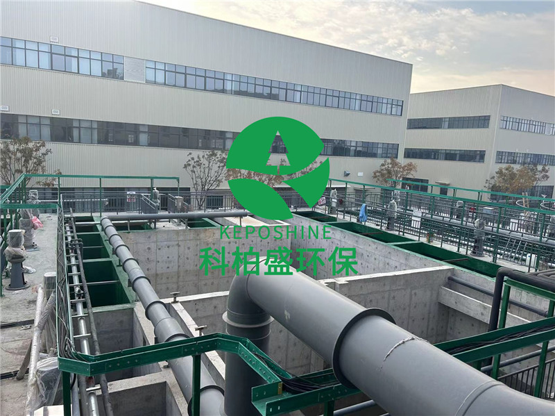 99久久久无码国产精品性