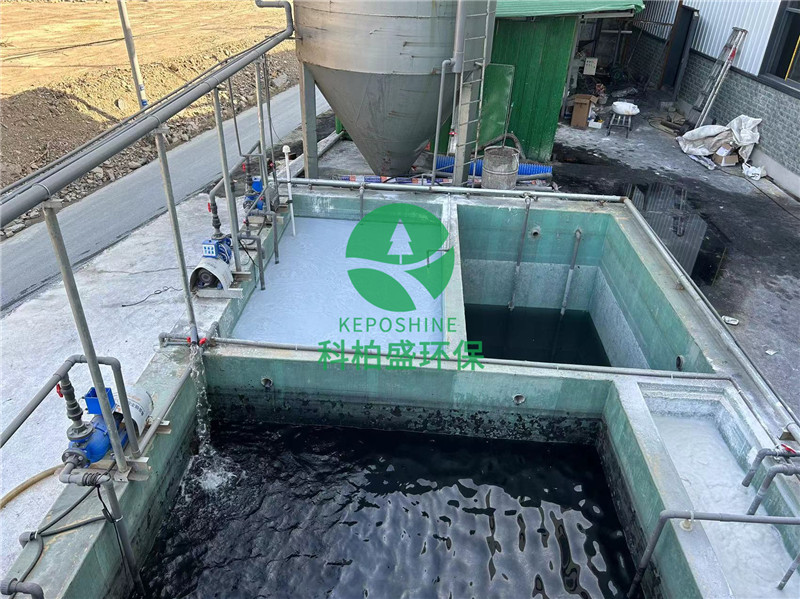 99久久久无码国产精品性