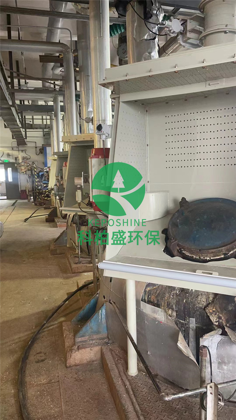 99久久久无码国产精品性