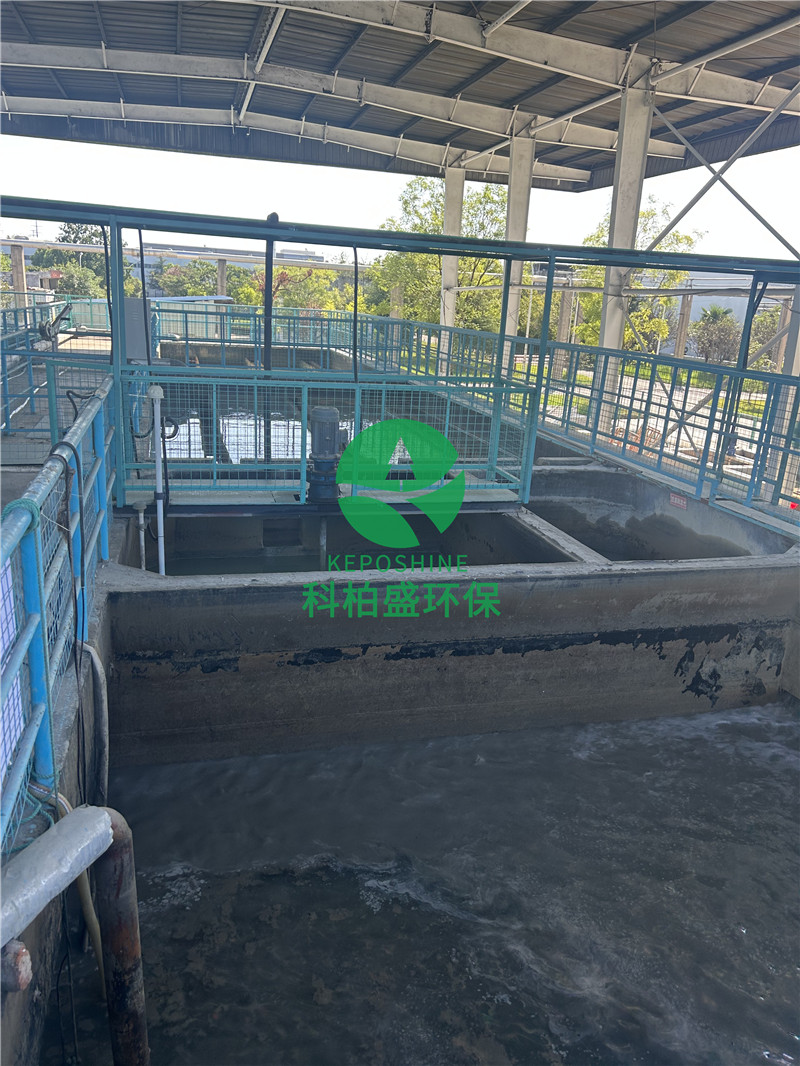 99久久久无码国产精品性