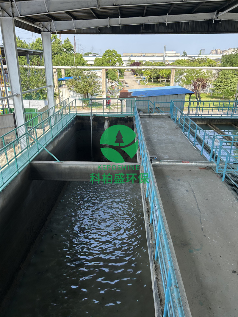 99久久久无码国产精品性