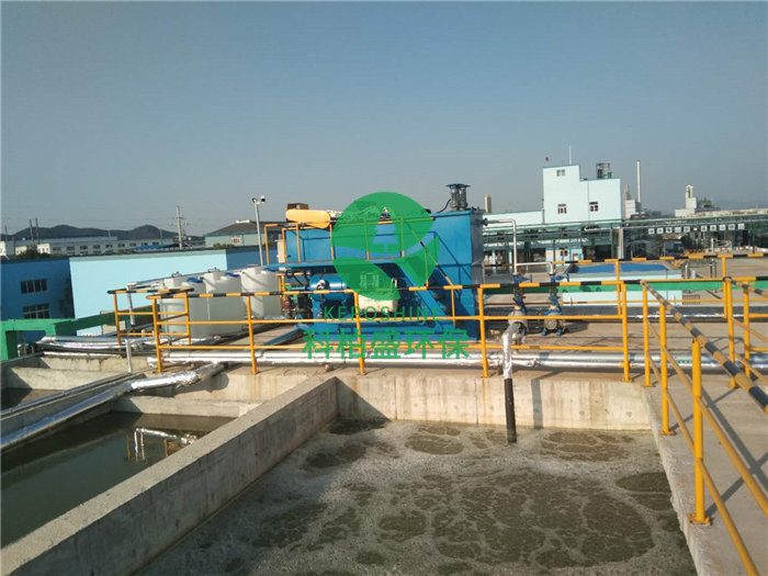 99久久久无码国产精品性