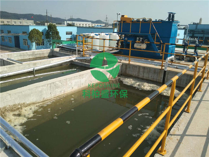 99久久久无码国产精品性