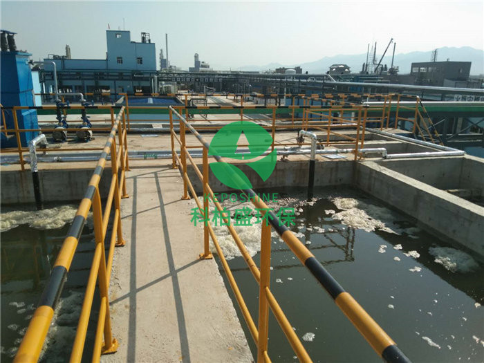 99久久久无码国产精品性